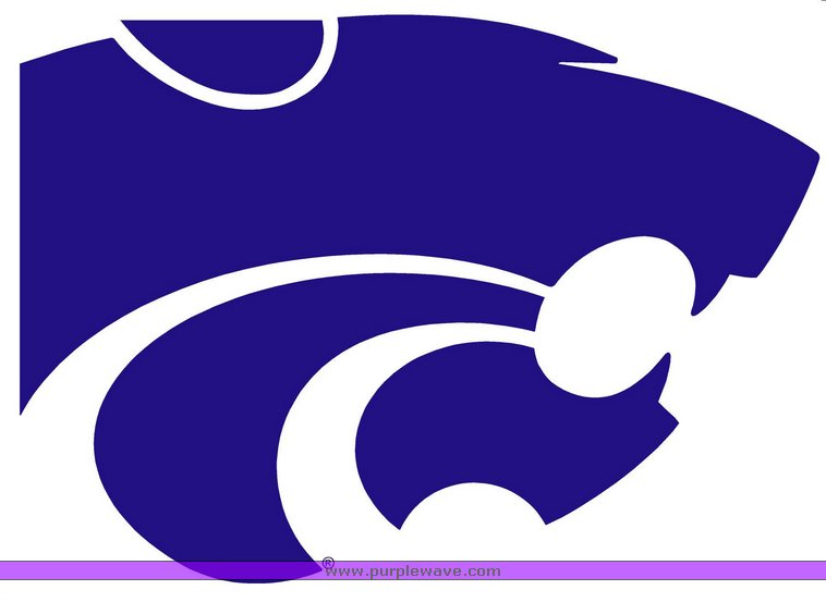 image for item 1107 Two sideline passes for one of the pre-conference games