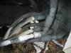 Thumbnail T_D4707ZZO.JPG of 1998 GMC C7500 Digger Derrick flatbed truck , 58,033 miles on odometer , 1,930 hours on meter , Cate...