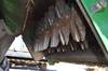 Thumbnail T_C3226ZX.JPG of 2004 John Deere 9860 STS RWA combine , 2,495 engine hours on meter , 1,632 separator hours on meter ...