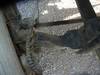Thumbnail T_D4717ZC.JPG of 2004 Ford F650 XL Super Duty dump truck , 48,073 miles on odometer , Caterpillar 3126E 7 2L L6 diese...