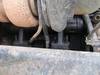 Thumbnail T_F5589W.JPG of 2003 Freightliner FLD120 dump truck , 200,278 miles on odometer , Cummins ISM330 10 8L L6 diesel eng...
