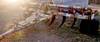 Big Ox 9 shank ripper Currently equipped with seven shanks 2 additional shanks included 14 W Hydraul...