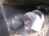 Thumbnail T_B8456ZF.JPG of 1992 HayBuster H1000 Big Bite tub grinder , 1000 PTO , Adjustable height conveyor , Hand winch , 18 ...