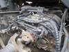 Thumbnail T_E3622T.JPG of 1991 Ford CLT 9000 semi truck , 802,655 miles on odometer , Cummins LT 310 10 0L L6 diesel engine , ...