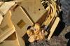 Thumbnail T_F2773ZD.JPG of 1984 Bomag MPH100 recycler , 1,610 hours on meter , Detroit V8 diesel engine , Hydrostatic transmiss...