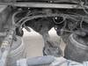 Thumbnail T_D7022N.JPG of 2007 Volvo VNL TA semi truck , 412,130 miles on odometer , Volvo VED16 16 1L L6 diesel engine , 500 ...