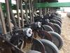 Thumbnail T_F6332ZB.JPG of 1990 Great Plains Solid Stand 20 grain drill , Model 3PD20 300889 , 20W , 8,604 acres on meter , 30 ...