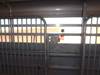 Thumbnail T_F6352Q.JPG of 2011 Norte 24 gooseneck livestock trailer , 24 x 68 quot , 2 divider gates , One has sort gate , 3 c...