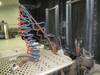 Thumbnail T_B5305ZZZX.JPG of 1997 Peterbilt 379 semi truck , 1,057,009 miles on odometer , Detroit 12 7L L6 diesel engine , Eaton...