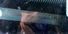 Thumbnail T_F4174ZP.JPG of 2001 Dodge Ram 3500 service truck , 169,946 miles on odometer , 5 9L L6 OHV 24V turbo diesel engine ...