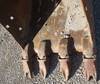 Thumbnail T_F6562M.JPG of 2000 Komatsu PC270LC 6L excavator , 8,685 hours on meter , Six cylinder turbo diesel engine , Enclos...
