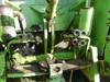 Thumbnail T_AB9198N.JPG of 1981 Steiger Panther ST310 tractor , 5,830 hours on meter , Cummins 855 diesel engine , 400 HP , Man...