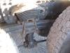 Thumbnail T_B5324ZZZI.JPG of 2001 Sterling LT9501 tri axle dump truck , 345,690 actual miles , Caterpillar 3126 7 2L diesel engin...
