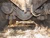 Thumbnail T_B5332ZZZK.JPG of 1998 Ford LT9511 tri axle dump truck , 590,800 miles on odometer , Cummins M11 10 8L L6 diesel engin...