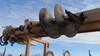 Thumbnail T_E3661ZR.JPG of 2001 International 4900 digger derrick truck , 91,642 actual miles , 5,595 hours on meter , Internat...