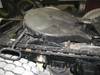 Thumbnail T_B5342ZZZR.JPG of 1995 Freightliner FLD120 semi truck , 461,442 miles on odometer , ECM data shows 889,020 actual mile...