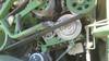 Thumbnail T_G5632ZG.JPG of 2007 Krone Big X V12 chopper , 2,875 hours on meter , Daimler Chrysler OM44LA 12 cylinder engine , 7...
