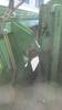 Thumbnail T_G5633ZH.JPG of 2007 Krone 720PU Easy Flow pick up header , Type E FL3801BX , 12 pickup head , Hydrualic lift cover ...