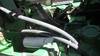 Thumbnail T_G5634ZB.JPG of 2002 John Deere 9520 tractor , 7,837 hours on meter , John Deere 12 5L six cylinder diesel engine , ...