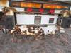 Thumbnail T_B5333ZZZB.JPG of 2000 Freightliner Altec 50 boom truck , 162,151 miles on odometer , Caterpillar 3126 7 2L turbo dies...