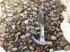 Thumbnail T_Z9839A.JPG of Colorado premium 2 , 3/4 quot 1 1/2 quot river rocks , Approx 1 1/2 ton bag ...