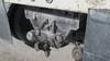 Thumbnail T_E3746ZX.JPG of 2000 International 4900 dump truck , 274,921 miles on odometer , 11,573 hours on meter , Internation...