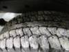 Thumbnail T_F4188O.JPG of 2006 Chevrolet Colorado Crew Cab pickup truck , 89,718 miles on odometer , 3 5L L5 DOHC 20V gas engi...