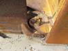 Thumbnail T_E2821ZZF.JPG of 1996 Caterpillar D8R dozer , Hour meter has been changed , Caterpillar 3406 14 6L six cylinder diese...