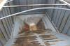 Thumbnail T_E8403V.JPG of 2009 Alameda 32 grain trailer , 102 quot W , 60 quot H sides , Dual high clearance hoppers , Grain c...