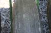 Thumbnail T_E8423ZZZE.JPG of 1999 John Deere 1760 Conservation 12 row flex planter , Heavy duty down pressure , Double disk opene...