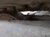 Thumbnail T_F4281M.JPG of 1997 Bobcat X331 compact excavator , 4,315 hours on meter , Four cylinder diesel engine , Enclosed c...