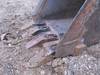 Thumbnail T_F4281ZE.JPG of 1997 Bobcat X331 compact excavator , 4,315 hours on meter , Four cylinder diesel engine , Enclosed c...