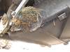 Thumbnail T_B5380ZZ.JPG of 2007 Hesston 4790 large square baler , 196 actual hours on meter , 3 x 4 bale capacity , 8,066 numbe...