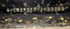 Thumbnail T_F5909ZH.JPG of 1996 Dynaweld lowboy trailer , 49L x 102 quot W wood deck , 55 quot stinger axle , 23well , Honda GX...
