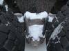 Thumbnail T_F5917N.JPG of 1980 Mack R686ST semi truck , 211,038 miles on odometer , Diesel engine , 10 speed manual transmissi...