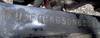 Thumbnail T_E3776ZZR.JPG of 2005 Freightliner Classic semi truck , 958,173 miles on odometer , In use, mileage will vary , Detro...