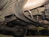 Thumbnail T_B5396ZZN.JPG of 2003 Ford F450 XL Super Duty SuperCab flatbed truck , 230,600 miles on odometer , Powerstroke 7 3L V...
