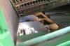 Thumbnail T_E8452SW.JPG of 2010 John Deere 9770 STS combine , 1,569 engine hours on meter , 1,169 separator hours on meter , Jo...
