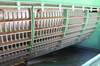 Thumbnail T_E8452SY.JPG of 2010 John Deere 9770 STS combine , 1,569 engine hours on meter , 1,169 separator hours on meter , Jo...