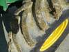 Thumbnail T_G7762G.JPG of 2001 John Deere 9750 STS combine , 4,326 engine hours on meter , 3,081 separator hours on meter , Jo...