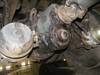 Thumbnail T_B5408ZZZS.JPG of 2001 Sterling LT8500 triple axle dump truck , 281,384 miles on odometer , Caterpillar 3126 7 2L L6 t...