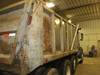 Thumbnail T_B5412ZZZC.JPG of 2001 Sterling LT8500 triple axle dump truck , 321,664 miles on odometer , Caterpillar 3126 7 2L L6 t...