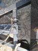 Thumbnail T_F3152I.JPG of 2010 Texas Bragg tilt deck trailer , 16L x 80 quot W wood deck , 4 tie downs , 41 quot x 17 quot too...