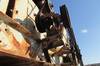Thumbnail T_F4737ZD.JPG of Cedar Rapids three deck portable screen , Feed conveyor , Unknown operating condition ...