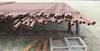 121 joints of structural oilfield pipe 2 3/8 30 joints Approx 3,630 feet Shipping quotes available ...