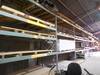 Assorted wood sheets 15 AB plywood 3/4 x 48 x 8 42 primed omni board 1/2 x 48 x 8 Mahogany under lay...