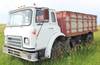 1975 International Cargo Star 1710B grain truck 51,771 miles on odometer V8 gas engine Five speed ma...