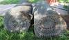 400 chain link fence 8 H Shipping quotes available 10340 SW 61st St Topeka, KS 66610 ...