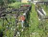 Manitowoc crane boom section 50 total length 30 section 20 section 45 W Manitowoc 3990 30 jib 60 ton...
