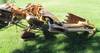 Case backhoe attachment Model 108826A1 860 Outriggers 6 boom 5 5 stick 17 W four tooth bucket Fits C...
